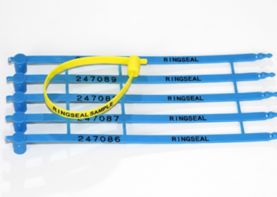 Ringseal
