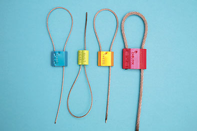 Cable Seal