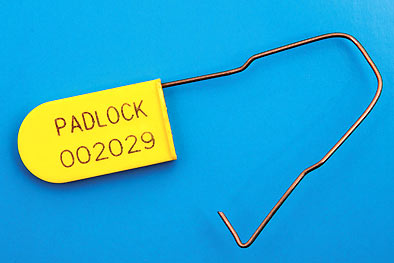 Padlock Seal