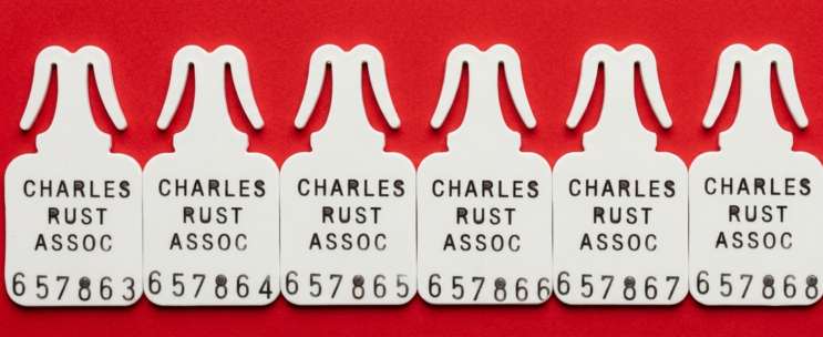 Bag Seals